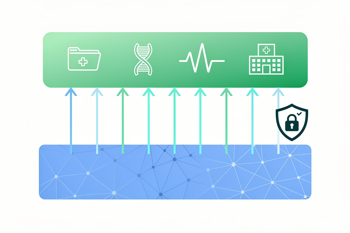 하단 파란 파운데이션 신경망 층과 상단 초록 의료·바이오 층이 화살표로 연결되고 DNA·심전도·병원 아이콘과 방패 아이콘이 배치된 국대 AI 의료·바이오 특화 모델 구조 일러스트